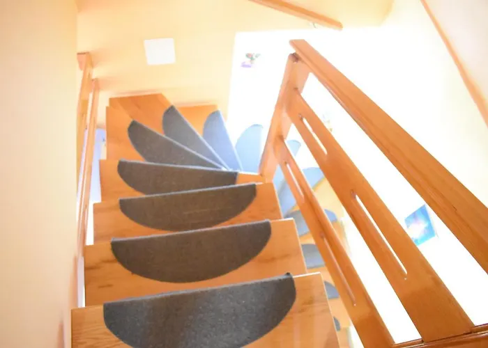 Pine Diver Pinezići